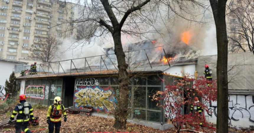 Poliția Locală Sector 1 a fost avertizată despre posibilitatea producerii unor incendii la Mărul de Aur. Ce răspuns au dat autoritățile? 1 exclusiv politia locala sector 1 a fost avertizata despre posibilitatea producerii unor incendii la marul de aur ce au raspuns autoritatile 6754995dd167e