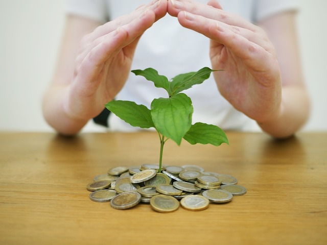 facilitati fiscale propuse pentru angajatii anumitor startup uri scutire la impozit pe venit si reduceri la contributii 675a77b398835