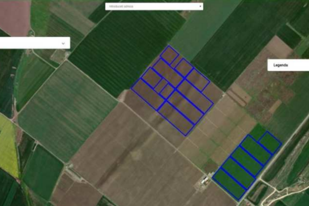 firma familiei simonei halep infiinteaza o padure pe 27 de hectare de teren din ovidiu investitia ajunge la aproape un milion de euro 67553531177bf