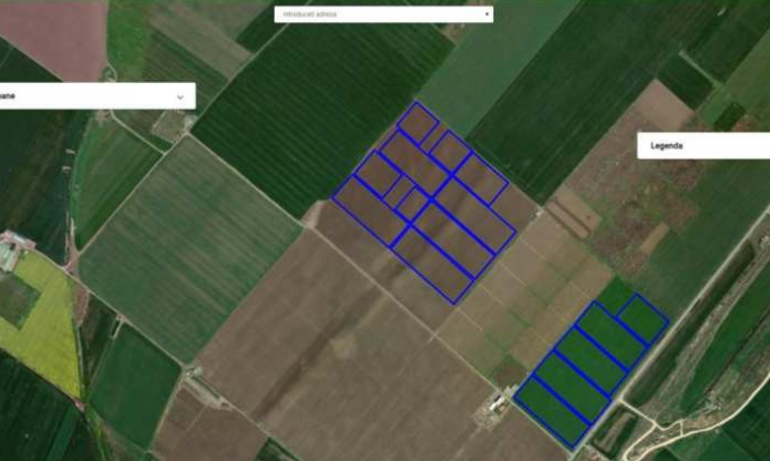 firma familiei simonei halep infiinteaza o padure pe 27 de hectare de teren din ovidiu investitia ajunge la aproape un milion de euro 67553531177bf