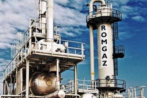 fitch loveste si romgaz de la stabil la negativ 676a8570eb7f7