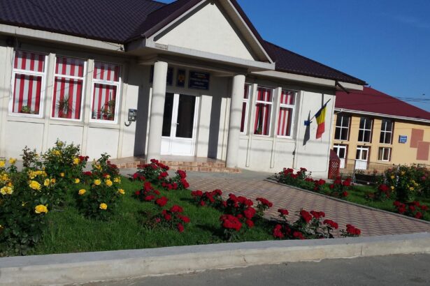 fostul viceprimar din garliciu care s a autoimproprietarit a fost condamnat definitiv 676207652b4ae