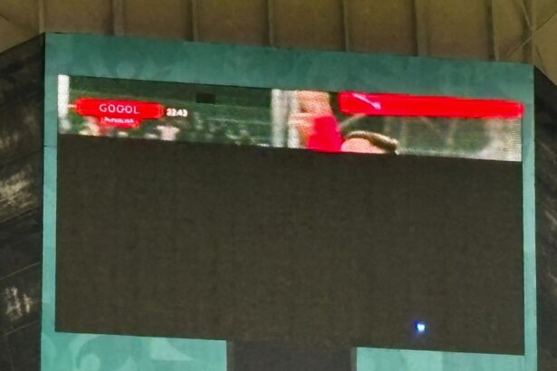 foto de rasul curcilor pe arena nationala tabela inca este defecta 6768585991264