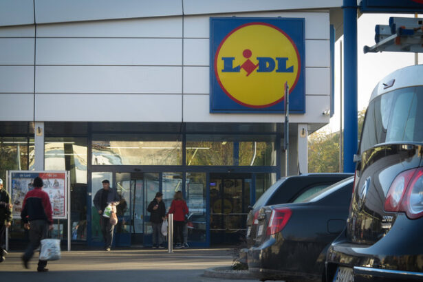 foto lidl lanseaza propriul canal de whatsapp dupa ce acum 2 ani a renuntat la cutii postale 6750470caaeec