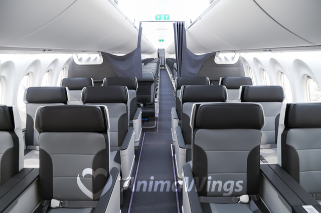 foto prima aeronava airbus a220 300 din flota animawings a ajuns in romania este singura aeronava de acest fel din romania 6760205d699a8