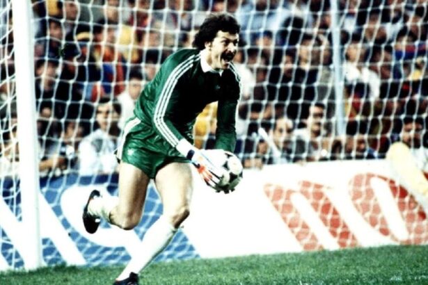 foto unde au ajuns manusile cu care helmut duckadam a aparat cele 4 penalty uri din finala cce de la sevilla 674db0603f7c4
