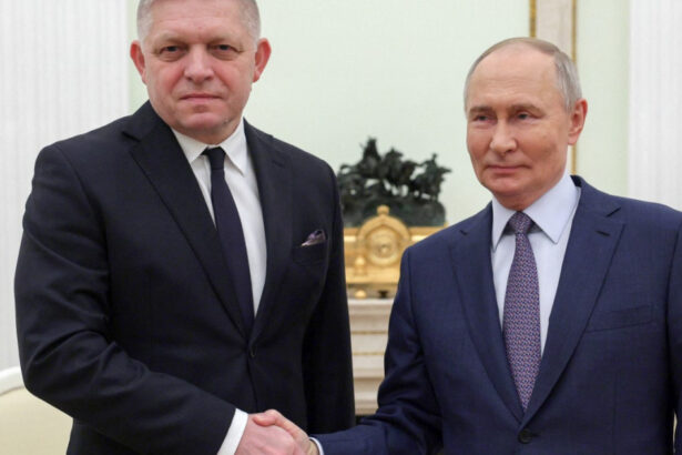 foto vladimir putin l a primit pe premierul slovac robert fico la kremlin 6768833c89260