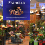 franciza floria oportunitate de afaceri cu parfum de profit 6763e94c8e856