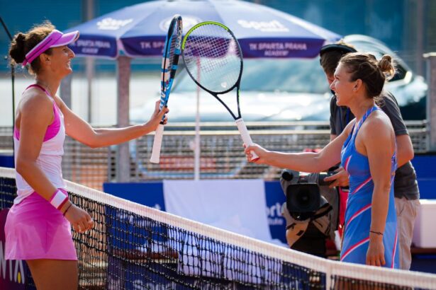 galerie foto cum a comentat irina begu wildcardurile primite de simona halep la auckland si melbourne 676d2a31e11d9