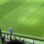 Marius Șumudică a recidivat! Derapajul antrenorului lui Rapid în timpul meciului cu Gloria Buzău 3 galerie foto marius sumudica a recidivat derapajul antrenorului lui rapid din timpul meciului cu gloria buzau 676087f0e5f78