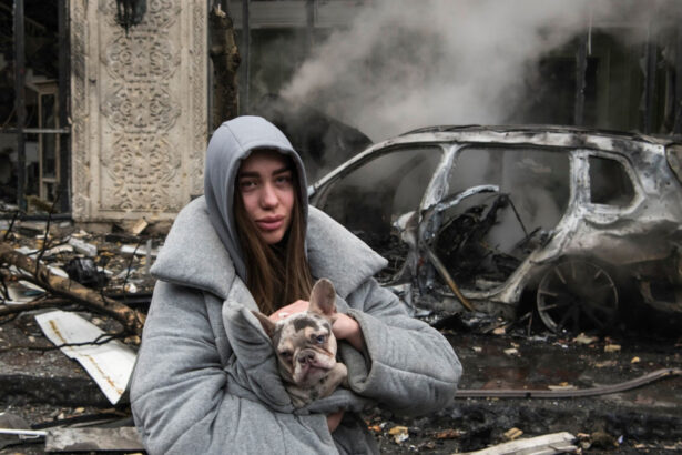 galerie foto peste 600 de apartamente 30 de scoli si sase ambasade au fost avariate in kiev in atacul barbar al rusiei asupra unor tinte civile 6765c39549edd