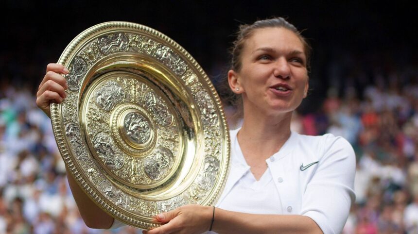 galerie foto presedintele federatiei romane de tenis simona halep un bun national si au batut joc de ea 675d32611a843