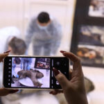 galerie foto ramasitele unui pui de mamut vechi de 50 000 de ani sunt expuse in rusia 676b92bd34129