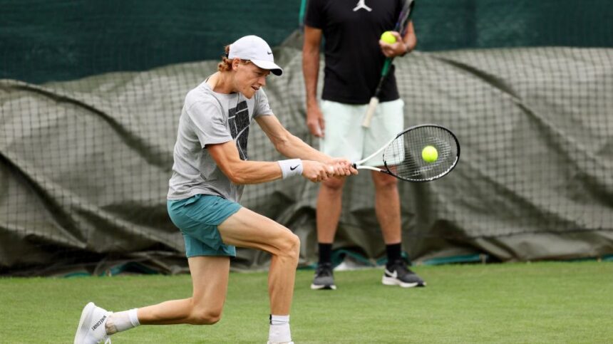 galerie foto sinner admis la australian open dar interzis la wimbledon cum s ar putea intampla 67556c2b53eb8