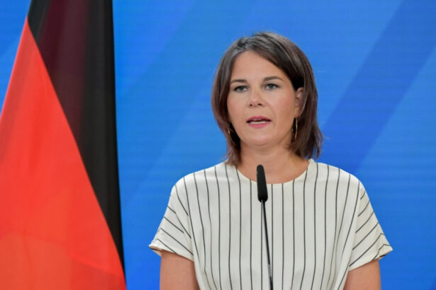 germania reactioneaza dupa implicarea rusiei in alegerile din romania putin vrea sa ne dezbine dar europa ramane puternica 6751d67d22016
