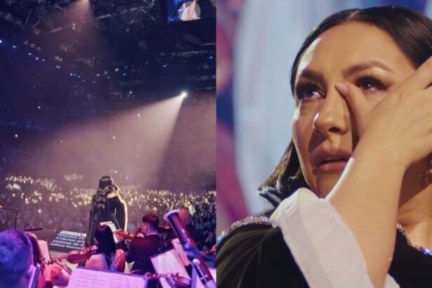 gestul facut de andra in fata celor 20 000 de spectatori de la concertele ei de craciun din cluj 2 zile si mii de lacrimi 67601dd59dea6