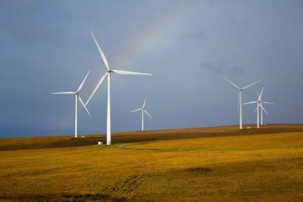 grafice cadou energetic de craciun din partea vantului eolienele duduie romania exporta peste 2 000 mw de curent electric 676bcd195d666