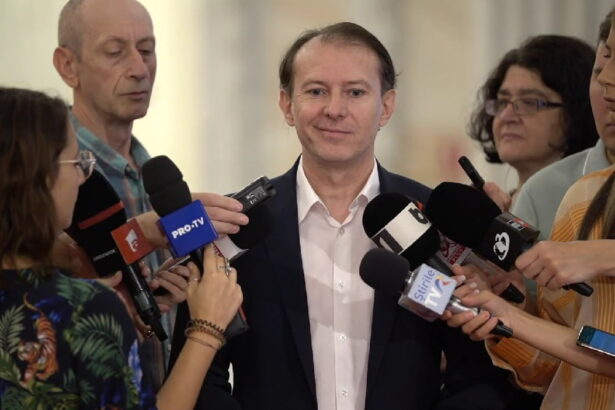 grei din politica rateaza intrarea in parlament citu si piedone au ramas someri 675024a62fdf3