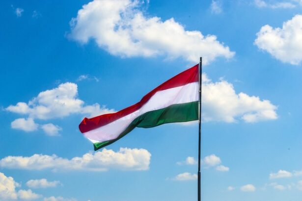guvernul orban a dat gres fabricile de acumulatoare trag in jos economia ungara 6759dcf1ab185