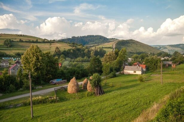 guvernul ucrainei a aprobat un acord cu romania privind construirea unui pod peste tisa 67597b977c491