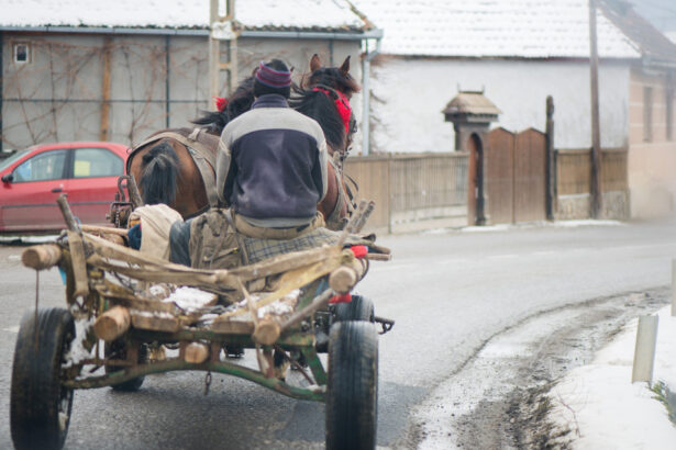harta saraciei in romania care sunt zonele defavorizate din tara 676558840e3c6