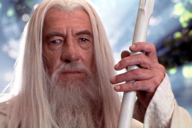 ian mckellen ma prefac ca sunt persoana pe care o reprezint in film sau in piesa de teatru 6755b0943f0fd
