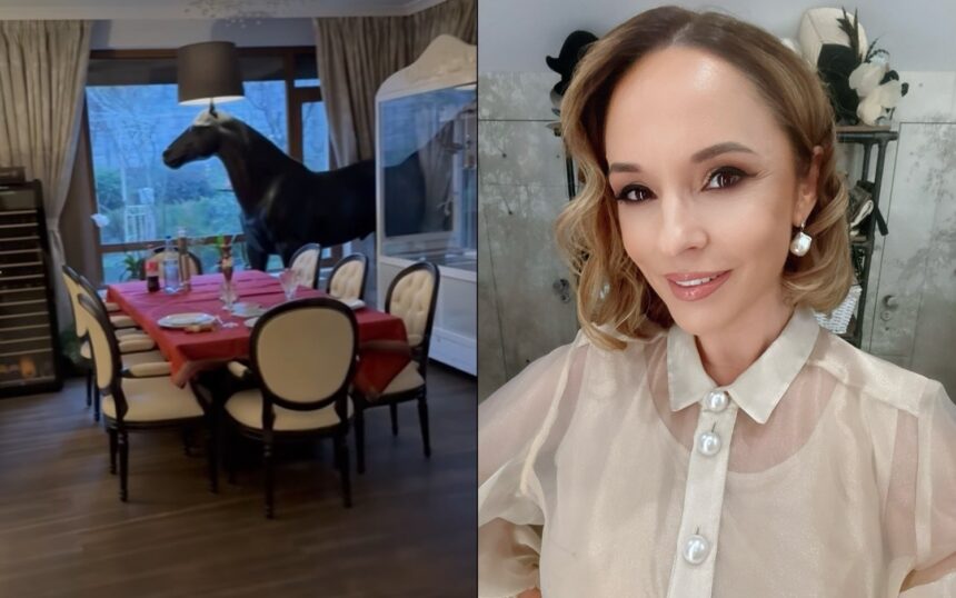 Casa Andreei Marin decorată de Crăciun, cu brazi împodobiți în sufragerie și masa festivă pregătită. 1 imagini din casa andreei marin decorata de craciun in sufragerie are mai multi brazi impodobiti iar masa festiva e gata 674d5eb79c6c1