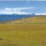 Imagini din satelit indică faptul că Antarctica este mai verde acum decât în urmă cu 35 de ani. 2 imagini din satelit arata ca antarctica este mai verde astazi decat in urma cu 35 de ani 6751c377023d2