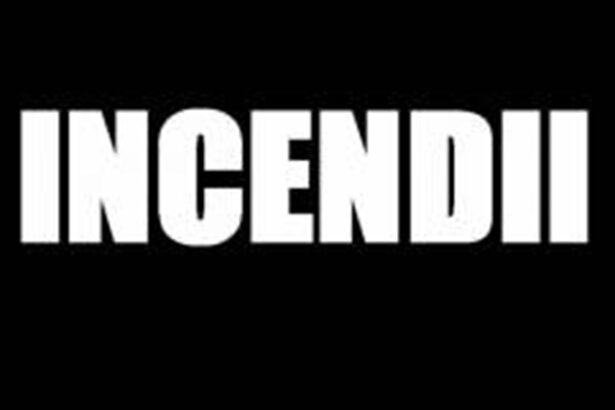 incendii teatrul de stat constanta 67611e92aee75