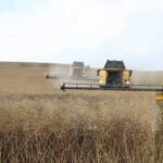 infografice productia agricola a romaniei a crescut de trei ori dupa aderarea la ue traim cu mitul ca nu am atras fonduri europene 67509b54db929