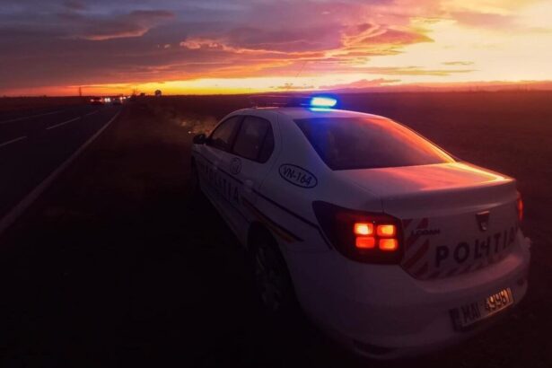 jale in trafic soferi bauti sau cu permisul suspendat prinsi de politistii din constanta 6773d5be84e15