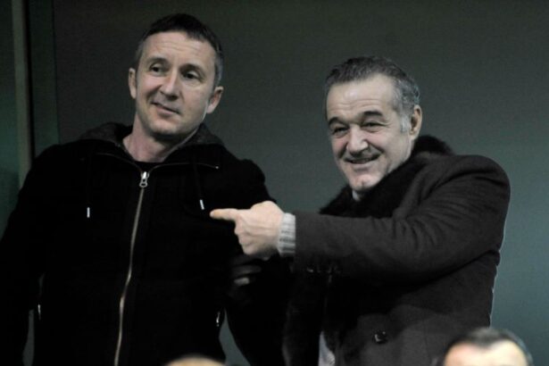 jucatorul propus de mihai stoica la fcsb refuzat de gigi becali 6750379122f96