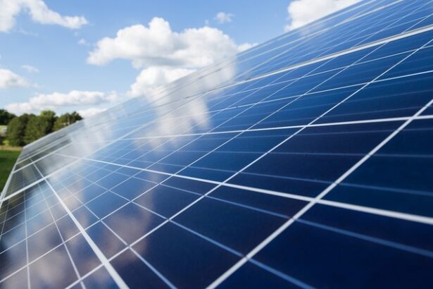 kronospan a implementat la fabrica din sebes un proiect de panouri fotovoltaice de peste 51 de milioane de lei 675c016cadf6c