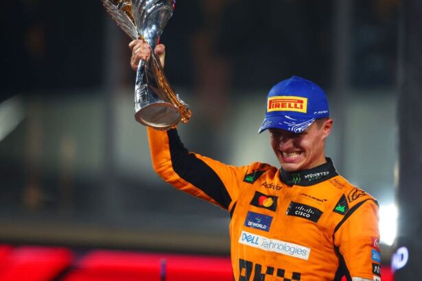 lando norris a castigat ultima cursa din acest sezon de formula 1 cum arata clasamentul final al constructorilor 6755c02ed46de
