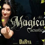 magica acoustic darya rock halle 676f8924ee8d9
