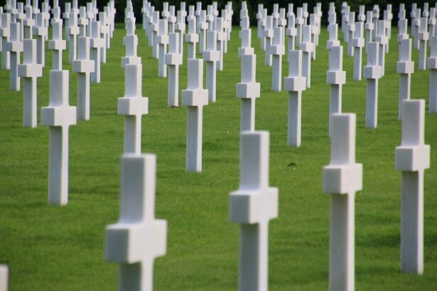 mapn a primit unda verde de la mediu pentru infiintarea unui cimitir militar in sudul constantei 676112b1092eb