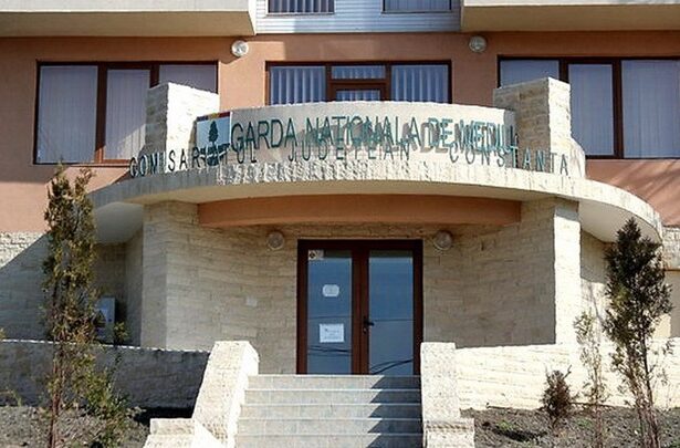 marian rasnoveanu seful garzii de mediu constanta disputa in instanta cu comisariatul general pe postul de conducere a inceput procesul 6763a7c403293