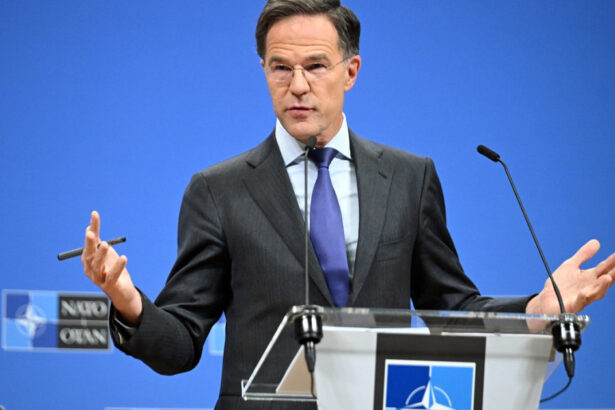 mark rutte caderea regimului al assad in siria este un moment de bucurie ce spune seful nato despre rusia si iran 67571feb2c466