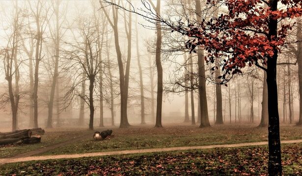 meteorologii prognozeaza pentru luna ianuarie temperaturi usor mai ridicate decat cele obisnuite 677414405dbf5