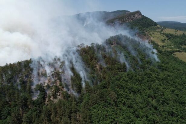 numar record de incendii in acest an in padurile administrate de romsilva pagube de peste 36 milioane de lei 676e8efc02365