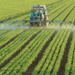 numarul exploatatiilor agricole a scazut 6765905dd3a09