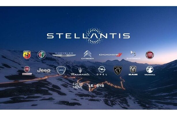 o noua rechemare in grup pentru marcile stellantis 674c29f0ceac7