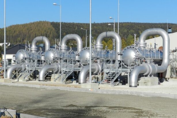 oficial familia umbrarescu isi extinde influenta si in sectorul energetic 675b472d3897c