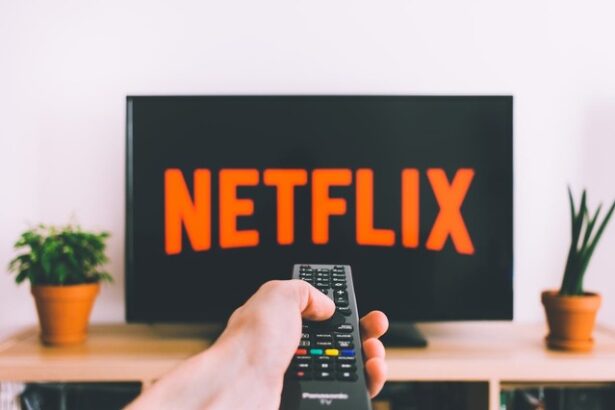 olanda a amendat netflix dupa o investigatie de 5 ani privind unele date ale abonatilor 676317960153f