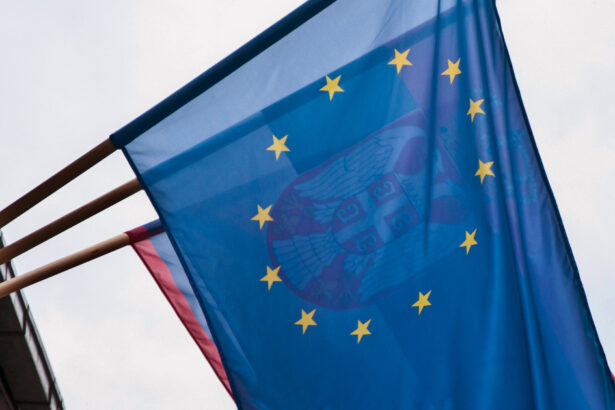 olanda va bloca parcursul serbiei pentru aderarea la uniunea europeana 676079f78976c