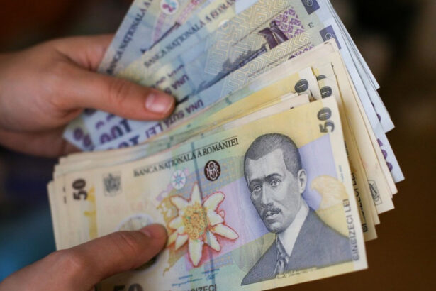 ordonanta trenulet a primit aviz nefavorabil de la consiliul economic si social 677282209008f
