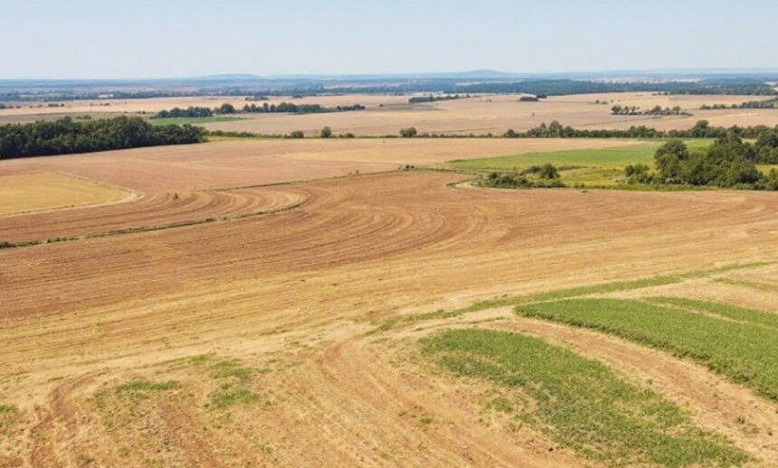 parlamentul a adoptat legea asteptata de ani de zile de fermieri durata arendarii terenurilor este de minimum 7 ani 676171e1b110e