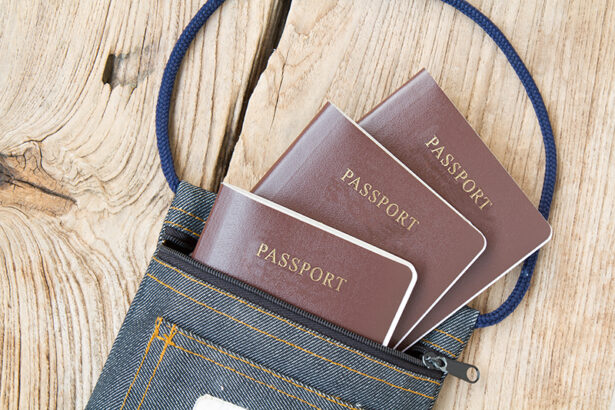 pasaportul va fi livrat gratuit de la 1 ianuarie cat costa eliberarea documentului 677410ba4d583