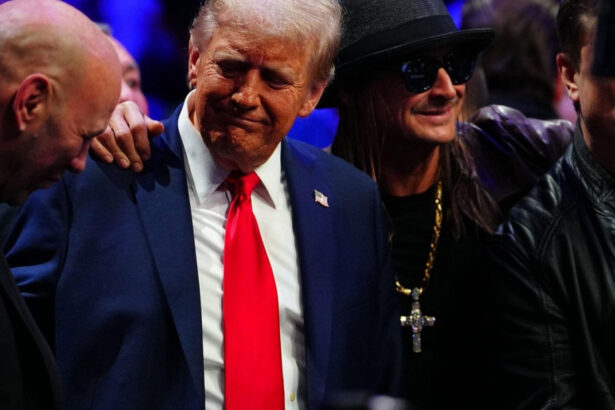planul de pace al lui trump ar propune ca ucraina sa renunte la teritoriile deja ocupate de rusia aderarea la nato exclusa 6750931b23bd4