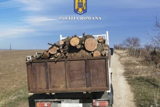 politistii din medgidia au prins trei barbati transportand lemn taiat ilegal in apropierea comunei baneasa 67557fce6c55c
